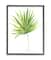 Stupell Industries Tropical Green Palm Fan Minimal on White in Black Frame Wall Art
